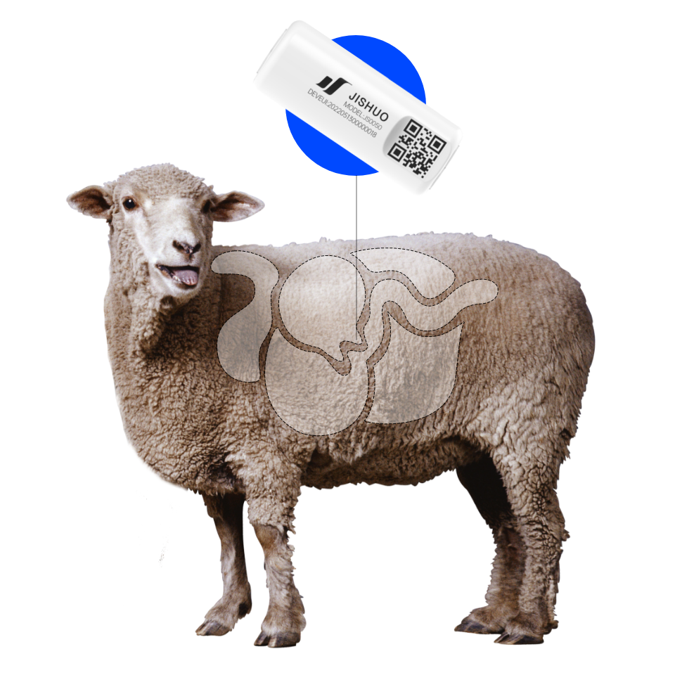 Mejnik Rumen Heat and Health Monitoring Sheep Rumen Bolus – LPWAN SPACE