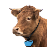 IoT based livestock tracker