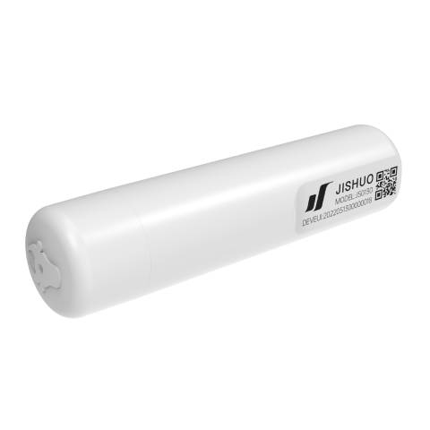 Cattle Rumin Plug Cattle Rumen Bolus for heat and health monitoring – LPWAN SPACE